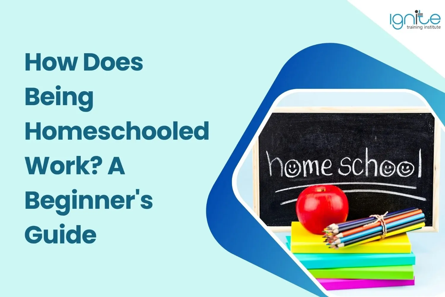 How Does Being Homeschooled Work? A Beginner’s Guide