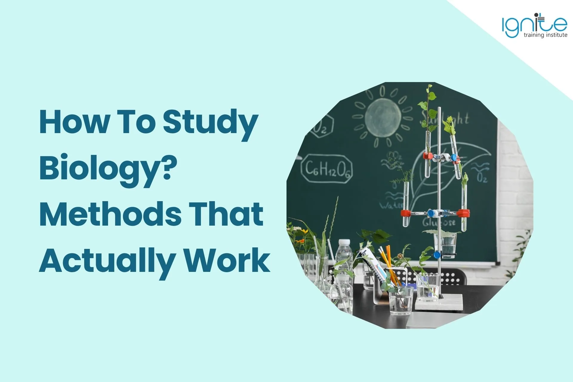  How To Study Biology? Methods That Actually Work