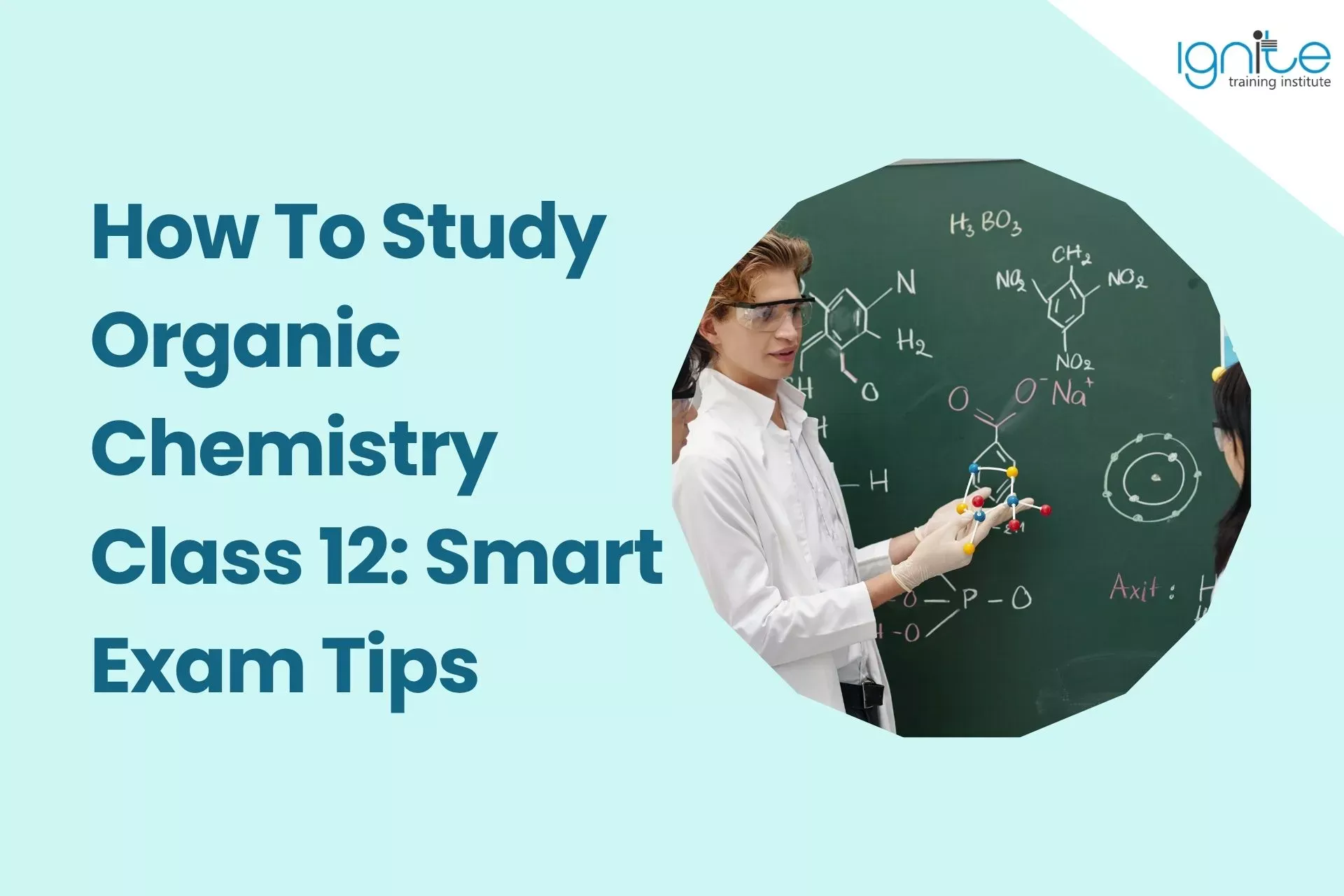 How To Study Organic Chemistry Class 12: Smart Exam Tips